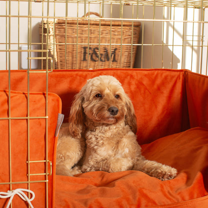 Dog Cage Bumper in Pumpkin Velvet by Lords & Labradors