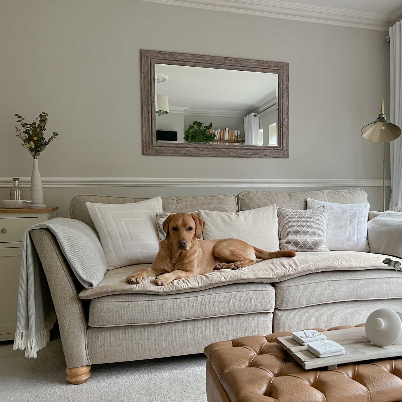 Discover Our Luxury Velvet Couch Topper, The Perfect Pet Couch Accessory In Stunning Mushroom Velvet ! Available Now at Lords & Labradors US
