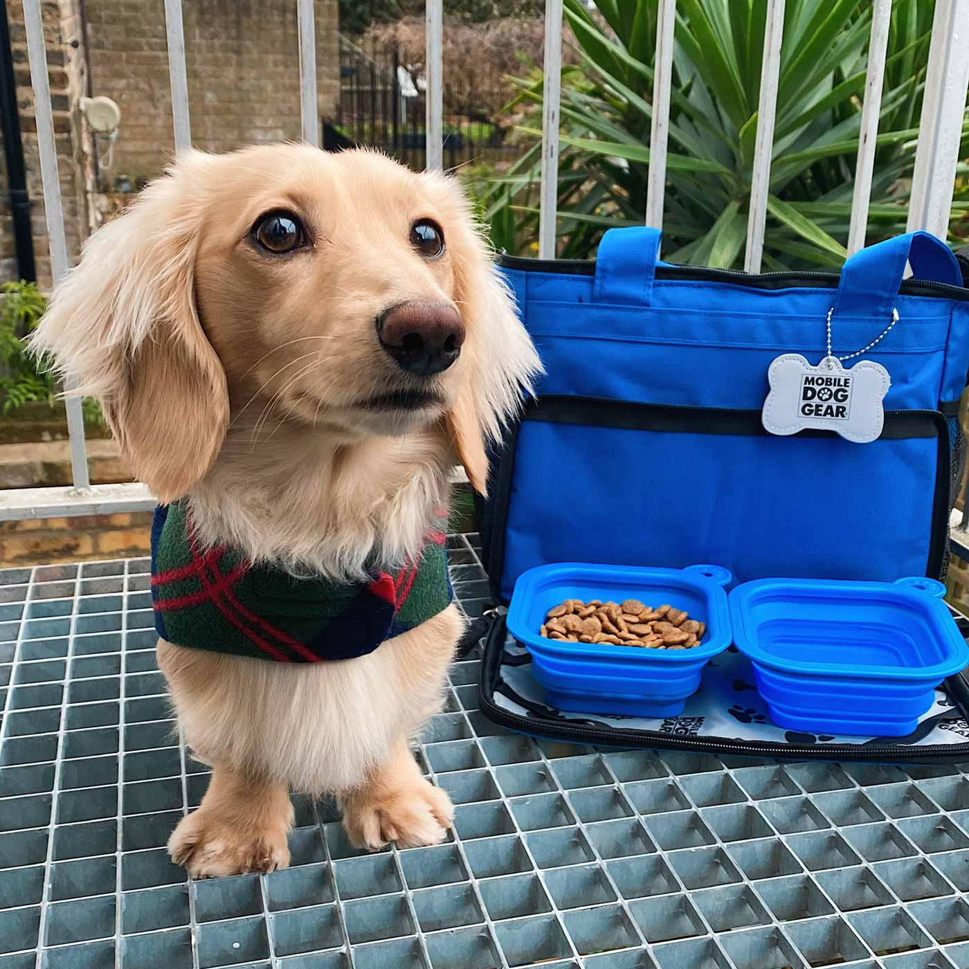 Discover, Mobile Dog Gear Week Away Bag, in Blue. The Perfect Away Bag for any Pet Parent, Featuring dividers to stack food and built in waste bag dispenser. Also Included feeding set, collapsible silicone bowls and placemat! The Perfect Gift For travel, meets airline requirements. Available Now at Lords & Labradors US