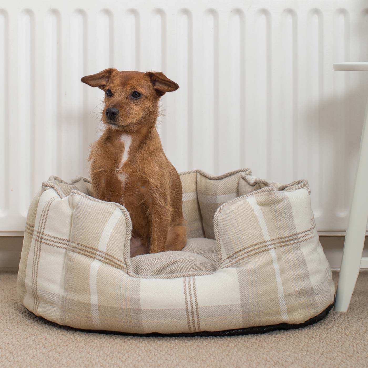 Discover Our Luxurious High Wall Bed For Dogs, Featuring inner pillow with plush teddy fleece on one side To Craft The Perfect Dogs Bed In Stunning Natural Tweed! Available To Personalize Now at Lords & Labradors US