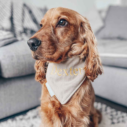 Discover The Perfect Luxury Pet Bandana, in Stunning Savanna Oatmeal! Available To Personalize Now at Lords & Labradors US