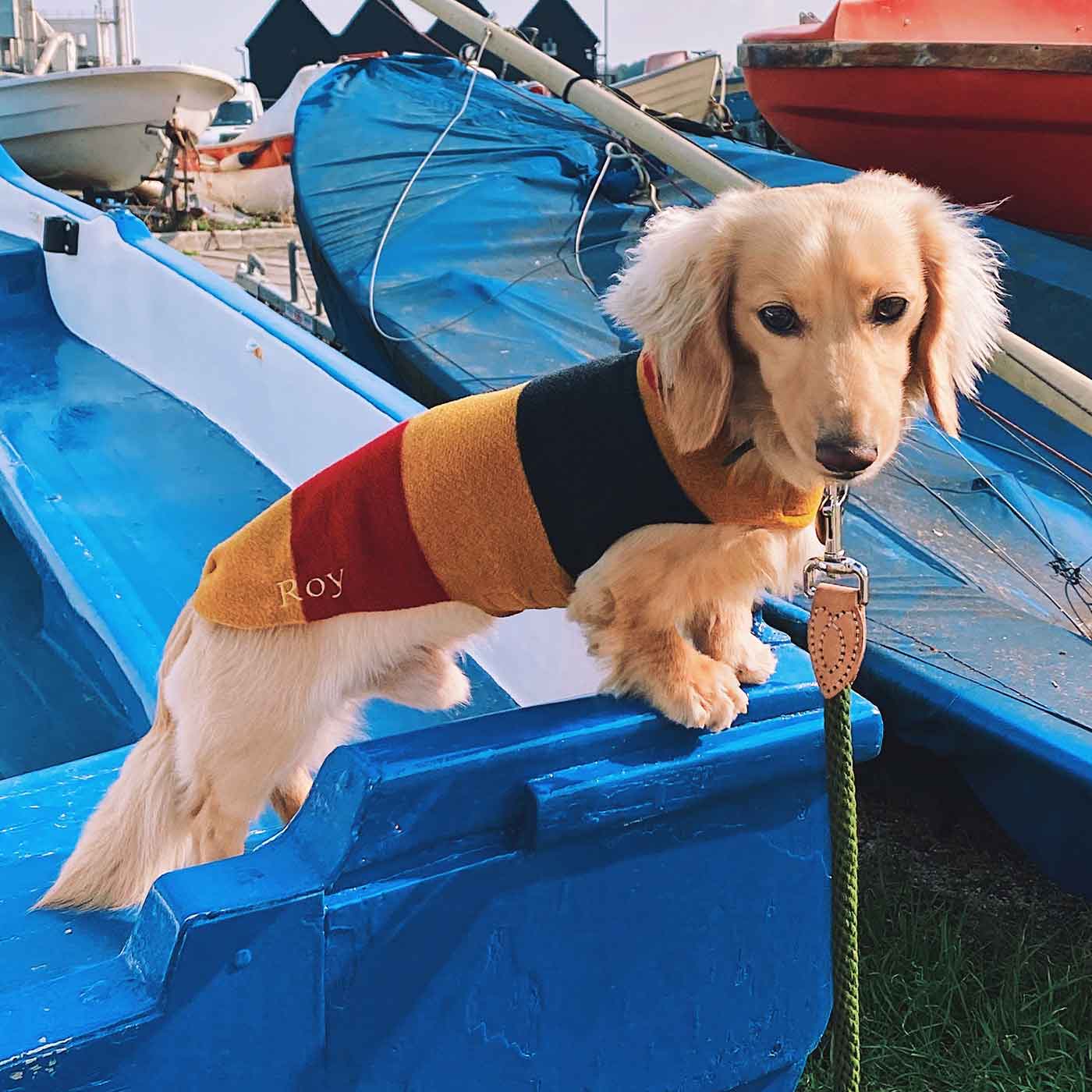 Accessorize Your Pet, With Our Stunning Dachshund Fleece, in Newmarket! Comes In five Size, And Totally Machine Washable, Available To Personalize Now at Lords & Labradors US