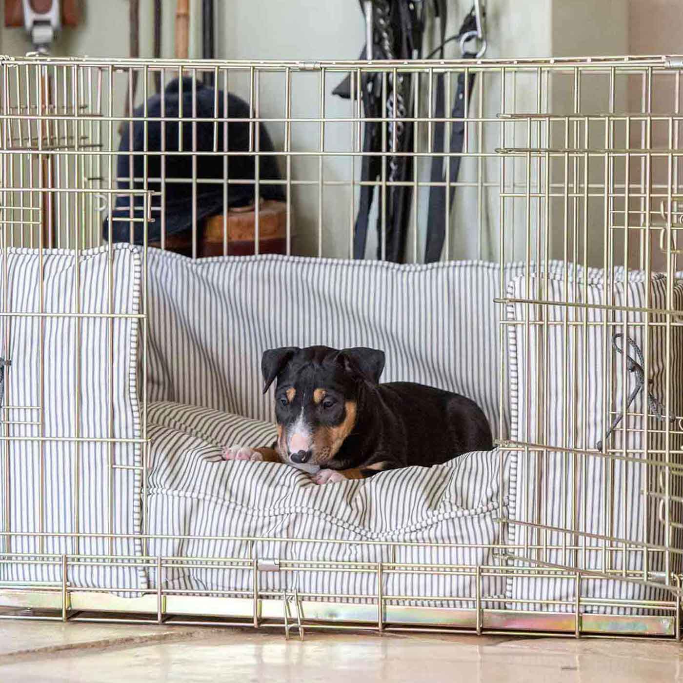 Luxury Dog Cage Bumper, Regency Stripe Cage Bumper Cover The Perfect Dog Cage Accessory, Available To Personalize Now at Lords & Labradors US