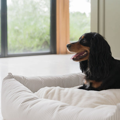 Box Bed For Dogs in Spots & Stripes by Lords & Labradors