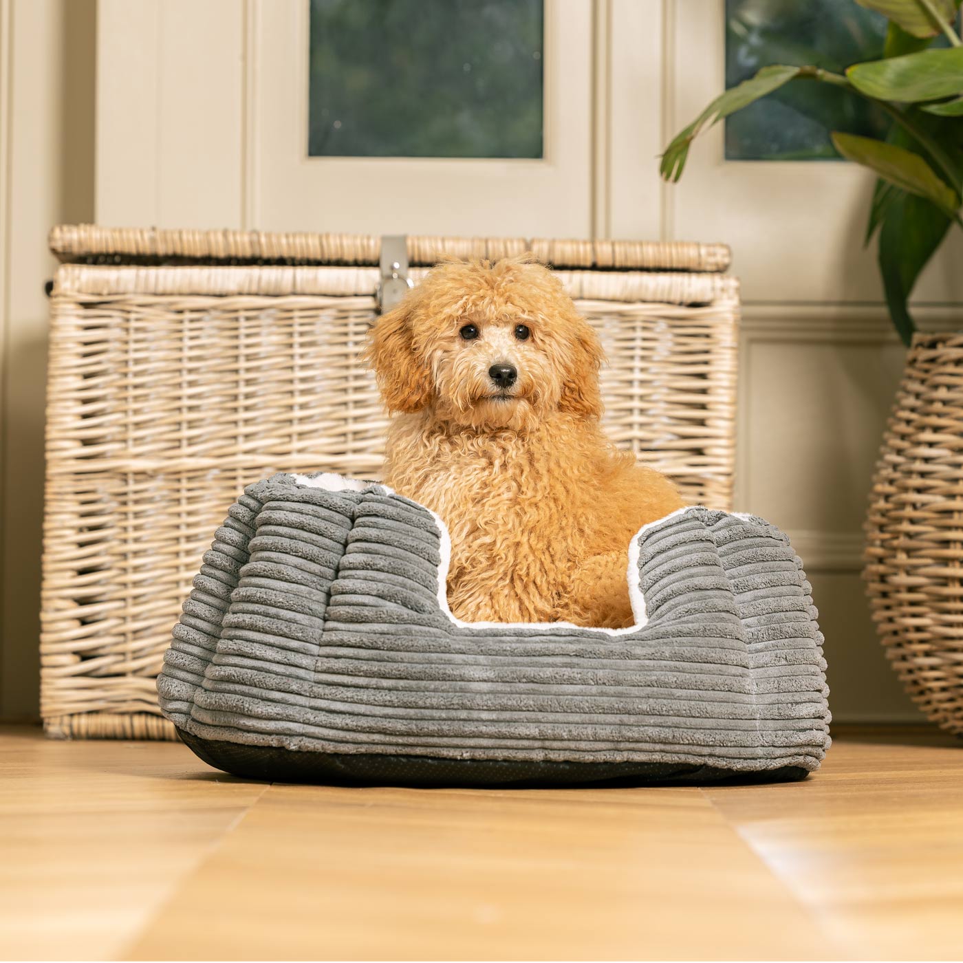 Discover Our Luxurious High Wall Bed For Dogs, Featuring inner pillow with plush teddy fleece on one side To Craft The Perfect Dog Bed In Stunning Essentials Dark Grey Plush! Available To Personalize Now at Lords & Labradors US
