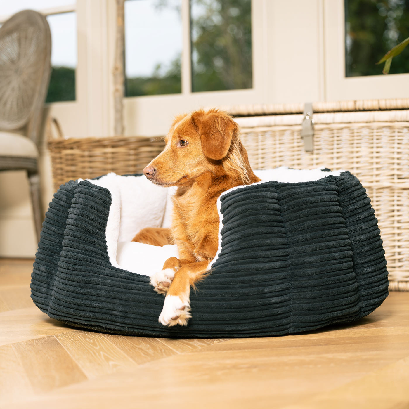 Discover Our Luxurious High Wall Bed For Dogs, Featuring inner pillow with plush teddy fleece on one side To Craft The Perfect Dog Bed In Stunning Essentials Navy Plush! Available To Personalize Now at Lords & Labradors US