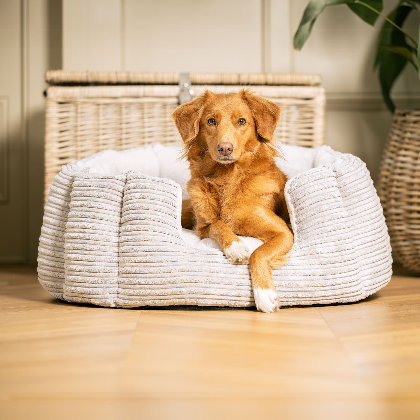 Discover Our Luxurious High Wall Bed For Dogs, Featuring inner pillow with plush teddy fleece on one side To Craft The Perfect Dog Bed In Stunning Essentials Light Grey Plush! Available To Personalize Now at Lords & Labradors US