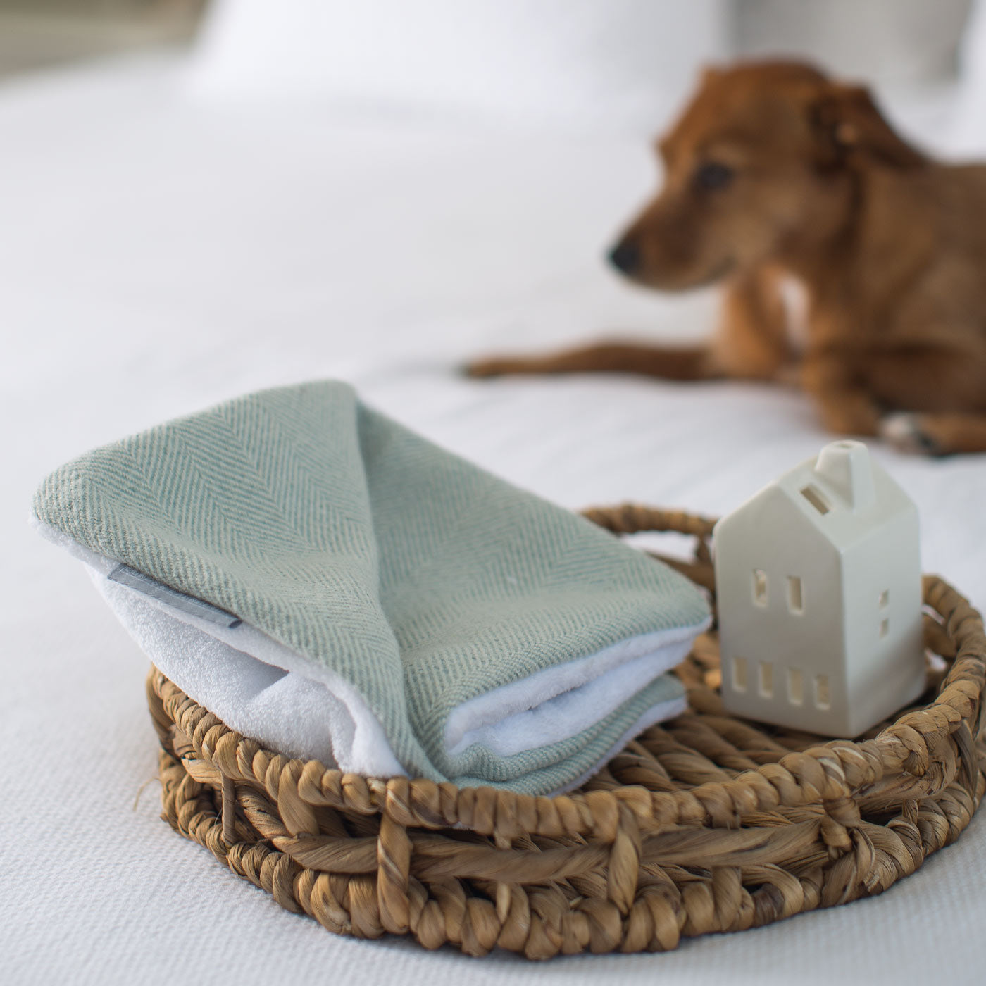 [color:duck egg herringbone] Luxury Herringbone Pet Scent Blanket collection, In Stunning Duck Egg Herringbone. The Perfect Blanket For Dogs, Available at Lords & Labradors US