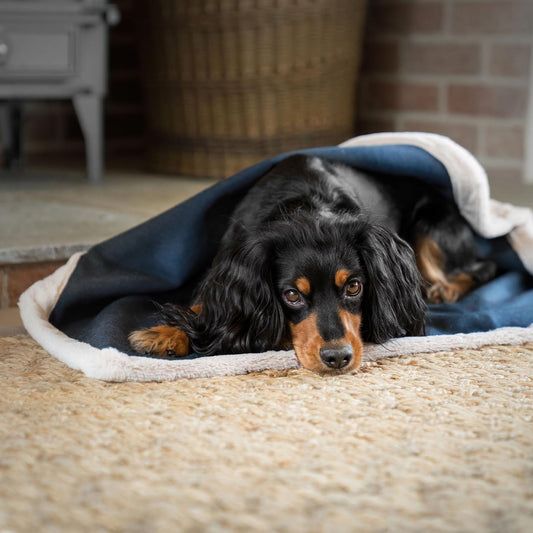 Present your furry friend with our luxuriously thick, plush blanket for your pet. Featuring a reverse side with hardwearing woven fabric handmade in Italy for the perfect high-quality pet blanket! Essentials Twill Blanket In Denim, Available now at Lords & Labradors US