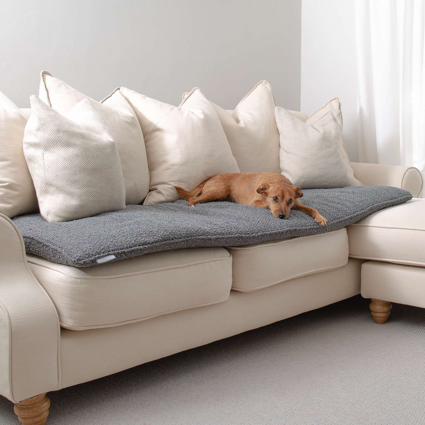 Lords & Labradors Luxury Velvet Couch Topper