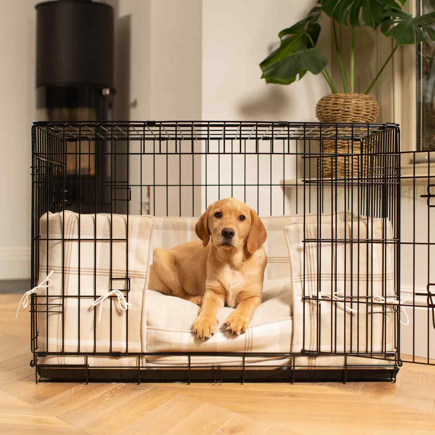 Dog crate bumper outlet and cushion