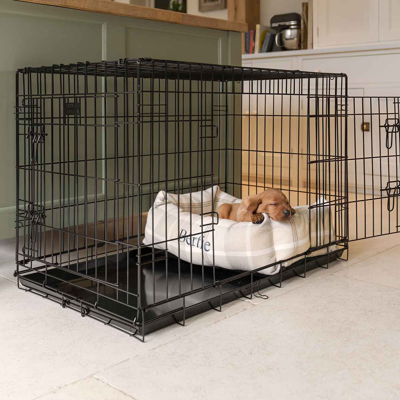 Cage bed for outlet dogs