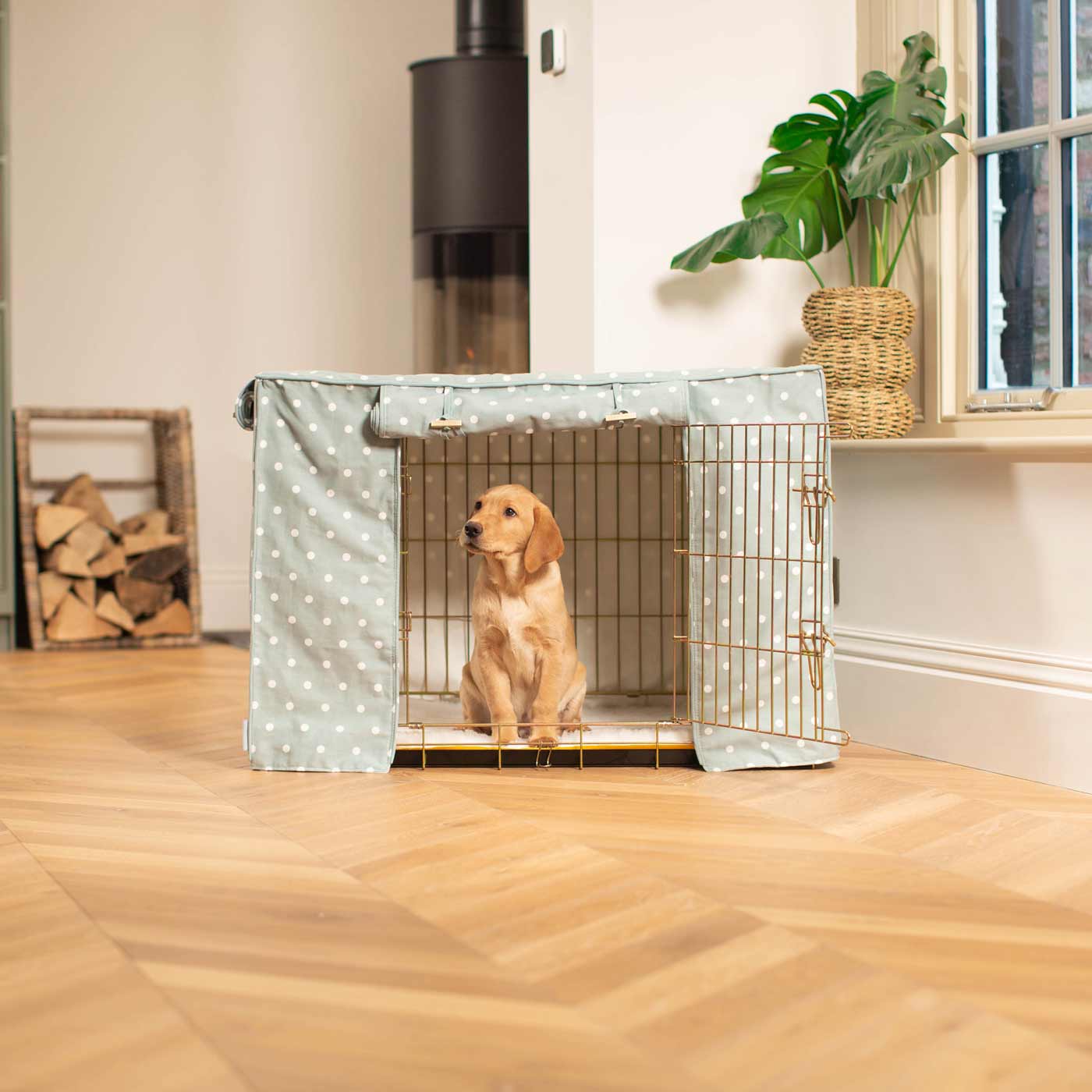 Luxury Gold Dog Cage Set With Crate Cover, The Perfect Dog Crate For The Ultimate Naptime, Available Now at Lords & Labradors US