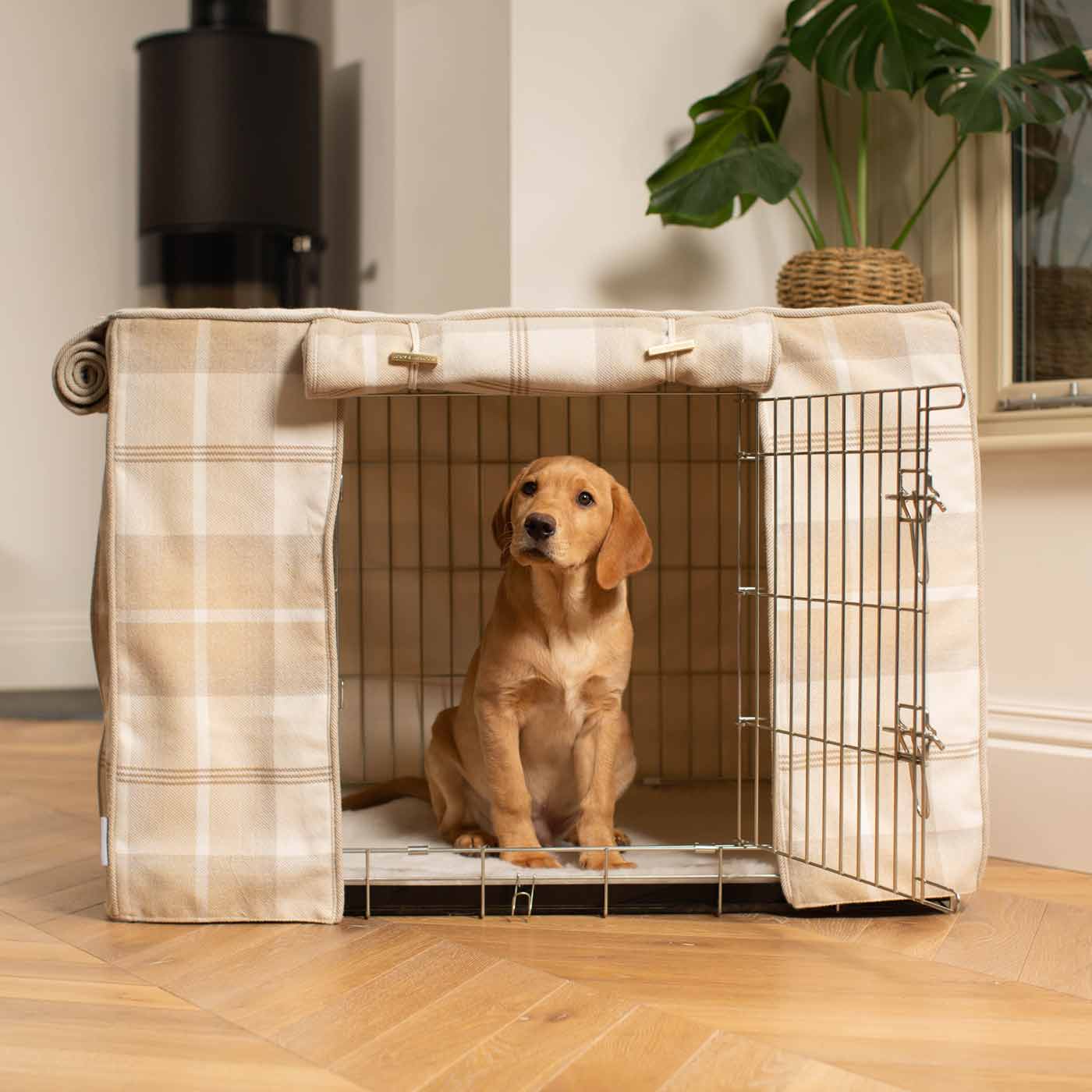 Luxury Silver Dog Cage Set With Bumper, The Perfect Dog Crate For The Ultimate Naptime, Available Now at Lords & Labradors US