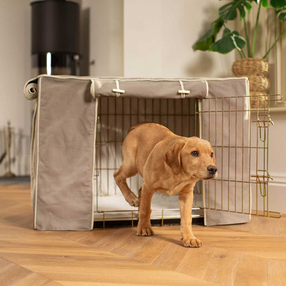 Discover Our Gold Heavy-Duty Dog Cage With Savanna Stone Cage Cover, The Perfect Cage Accessory For The Ultimate Pet Den. Available To Personalize at Lords & Labradors US