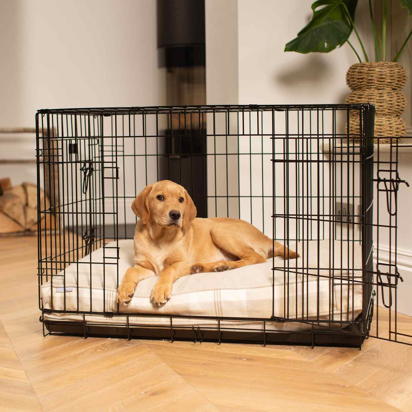 Luxury Black Dog Cage Set With Cushion, The Perfect Dog Cage For The Ultimate Naptime, Now Available To Personalize at Lords & Labradors US