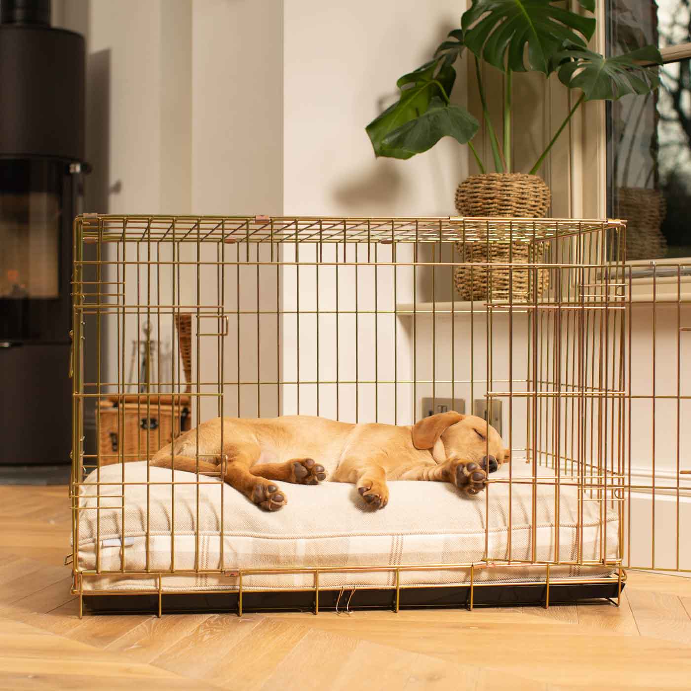Luxury Gold Dog Cage Set With Cushion, The Perfect Dog Cage For The Ultimate Naptime, Now Available To Personalize at Lords & Labradors US