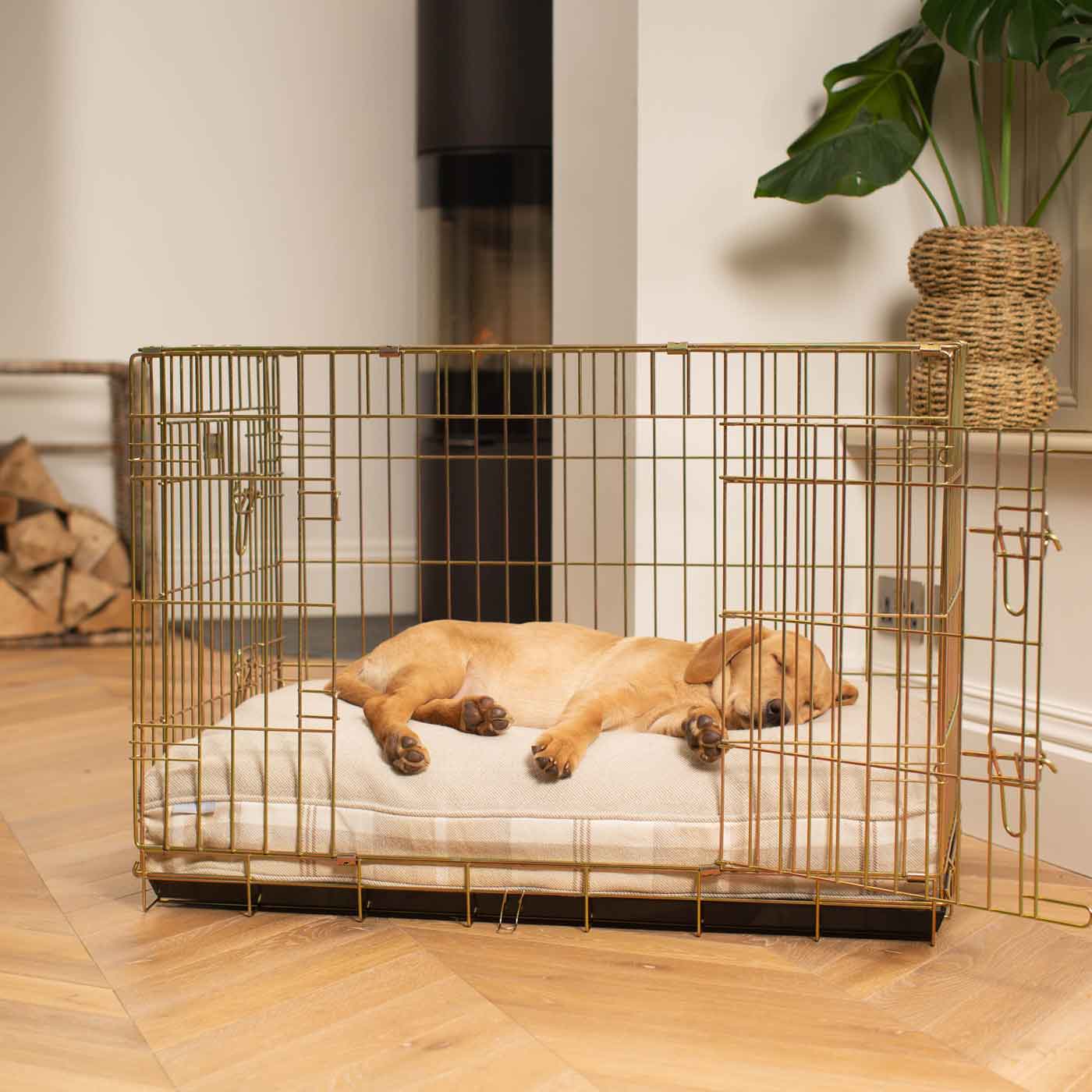 Luxury Gold Dog Cage Set With Cushion, The Perfect Dog Cage For The Ultimate Naptime, Now Available To Personalize at Lords & Labradors US