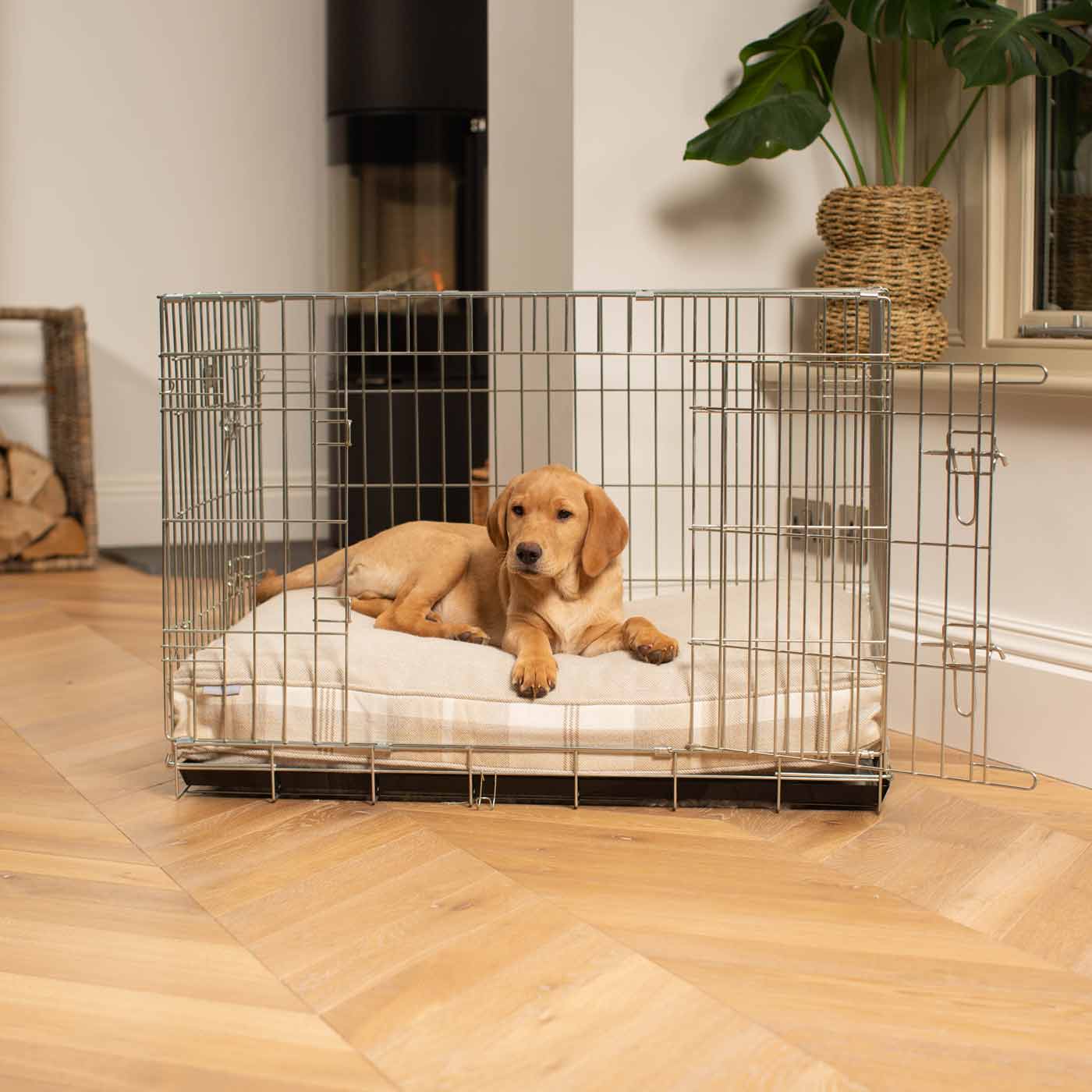 Luxury Silver Dog Cage With Cushion, The Perfect Dog Cage For The Ultimate Naptime, Now Available To Personalize at Lords & Labradors US