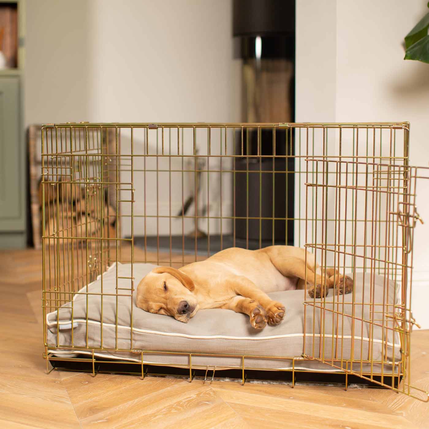 Gold Dog Cage with Savanna Cushion by Lords & Labradors