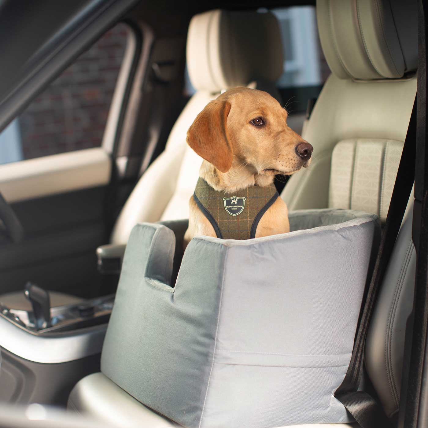 Embark on the perfect pet travel with our luxury car booster seat! Featuring removable cushion with foam padding for extra comfort! Available now at Lords & Labradors US