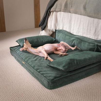 Shop Luxury Dog Sofas, The Execu-Sofa In Stunning Olive! Dog Sofa Beds Available Now at Lords & Labradors