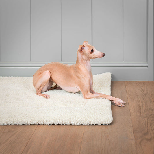 Present your furry friend with the perfect pet mattress featuring thick padding for the ultimate comfort! The luxury hottie mat is ideal for pet travel, available now at Lords & Labradors US