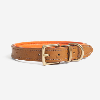 Discover dog walking luxury with our handcrafted Italian Ostrich leather dog Collar in Tan & Orange! The perfect Collar for dogs available now at Lords & Labradors US