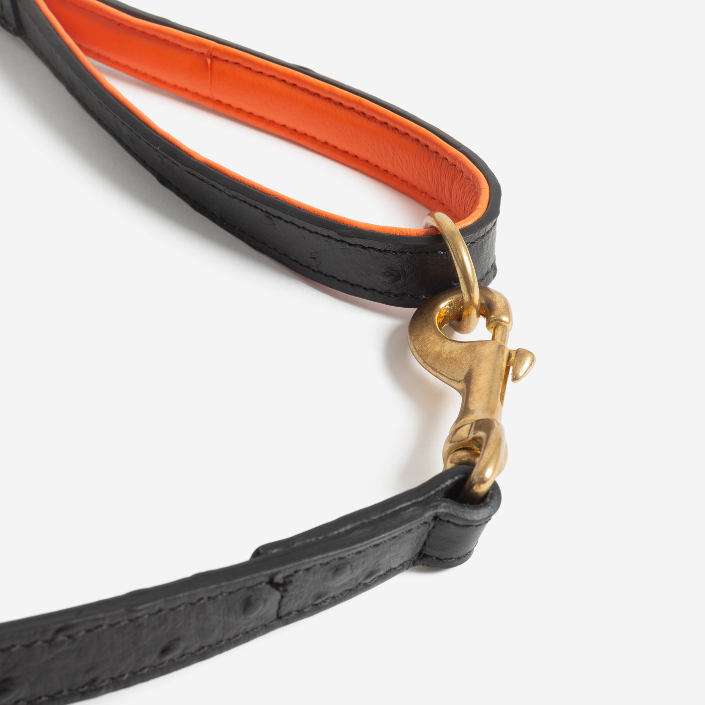 Ostrich Leather Dog Leash in Black by Lords & Labradors