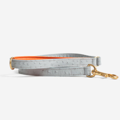 Discover dog walking luxury with our handcrafted Italian Ostrich leather dog Leash in Grey & Orange! The perfect Leash for dogs available now at Lords & Labradors US