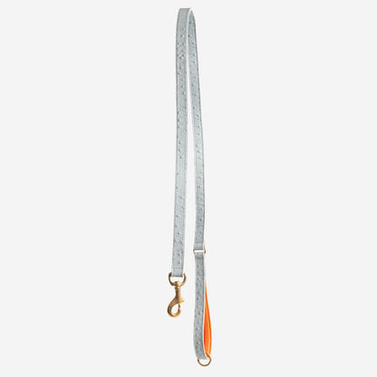 Discover dog walking luxury with our handcrafted Italian Ostrich leather dog Leash in Grey & Orange! The perfect Leash for dogs available now at Lords & Labradors US