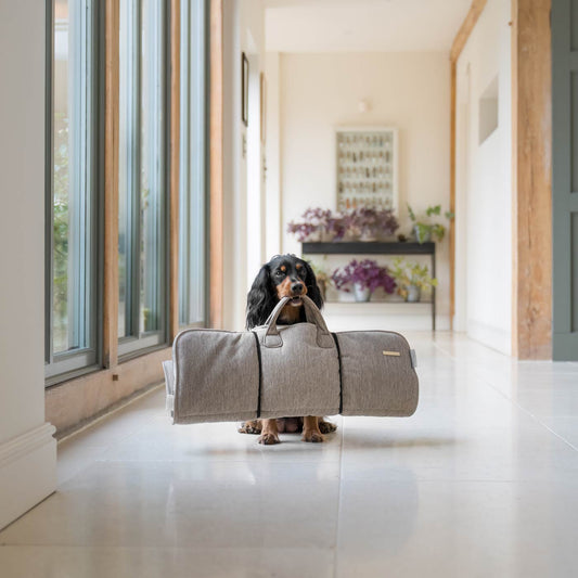 Embark on the perfect pet travel with our luxury Roll & Go Travel Mat! Featuring handles for easy carrying, the perfect addition that can be used on the Go in the car, at home or as a travel bed! Available now at Lords & Labradors US