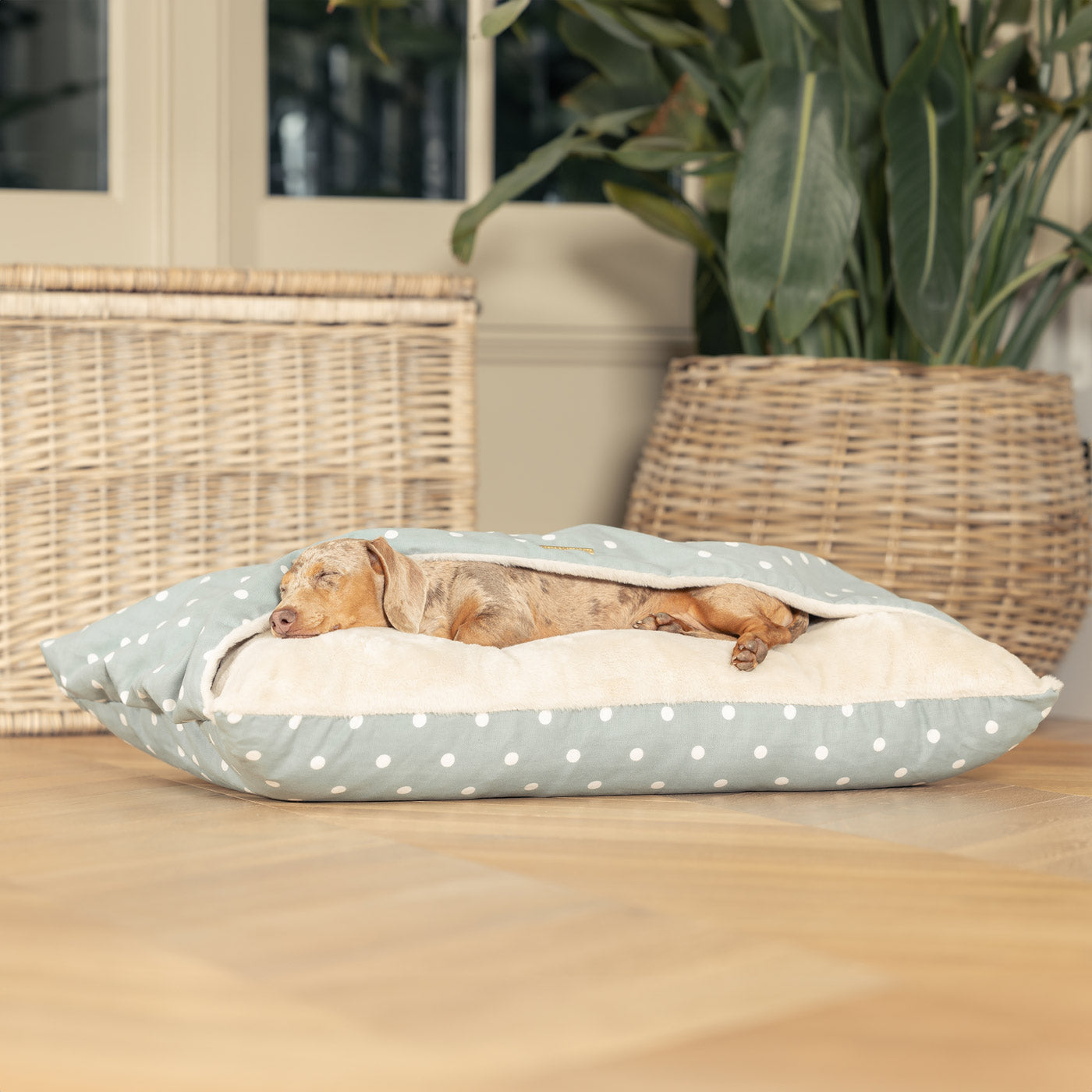  Discover The Perfect Burrow For Your Pet, Our Stunning Sleepy Burrow Dog Beds In Duck Egg Spot Is The Perfect Bed Choice For Your Pet, Available Now at Lords & Labradors US