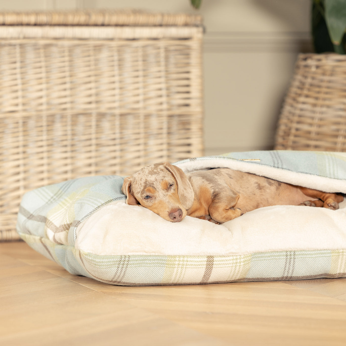 Discover The Perfect Burrow For Your Pet, Our Stunning Sleepy Burrow Dog Beds In Duck Egg Tweed Is The Perfect Bed Choice For Your Pet, Available Now at Lords & Labradors US