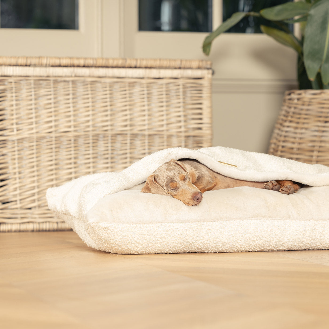 Luxury Ivory Boucle Sleepy Burrows, The Perfect bed For a Pet to Burrow. Available To Personalize In Stunning Ivory Bouclé Here at Lords & Labradors US