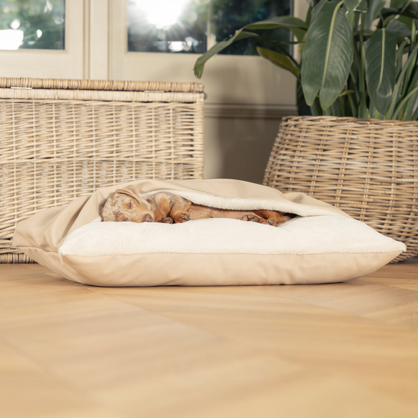 Discover The Perfect Burrow For Your Pet, Our Stunning Sleepy Burrow Dog Beds In Rhino Sand, Is The Perfect Bed Choice For Your Pet, Available Now at Lords & Labradors US