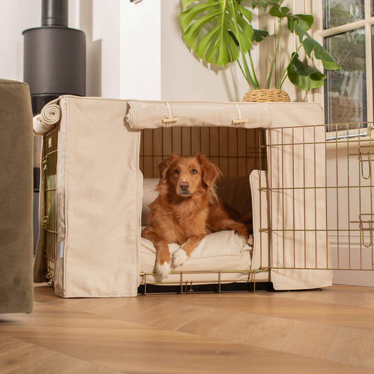 Luxury Heavy Duty Dog Cage, In Stunning Savanna Bone Cage Set, The Perfect Dog Cage Set For Building The Ultimate Pet Den! Dog Cage Cover Available To Personalize at Lords & Labradors US