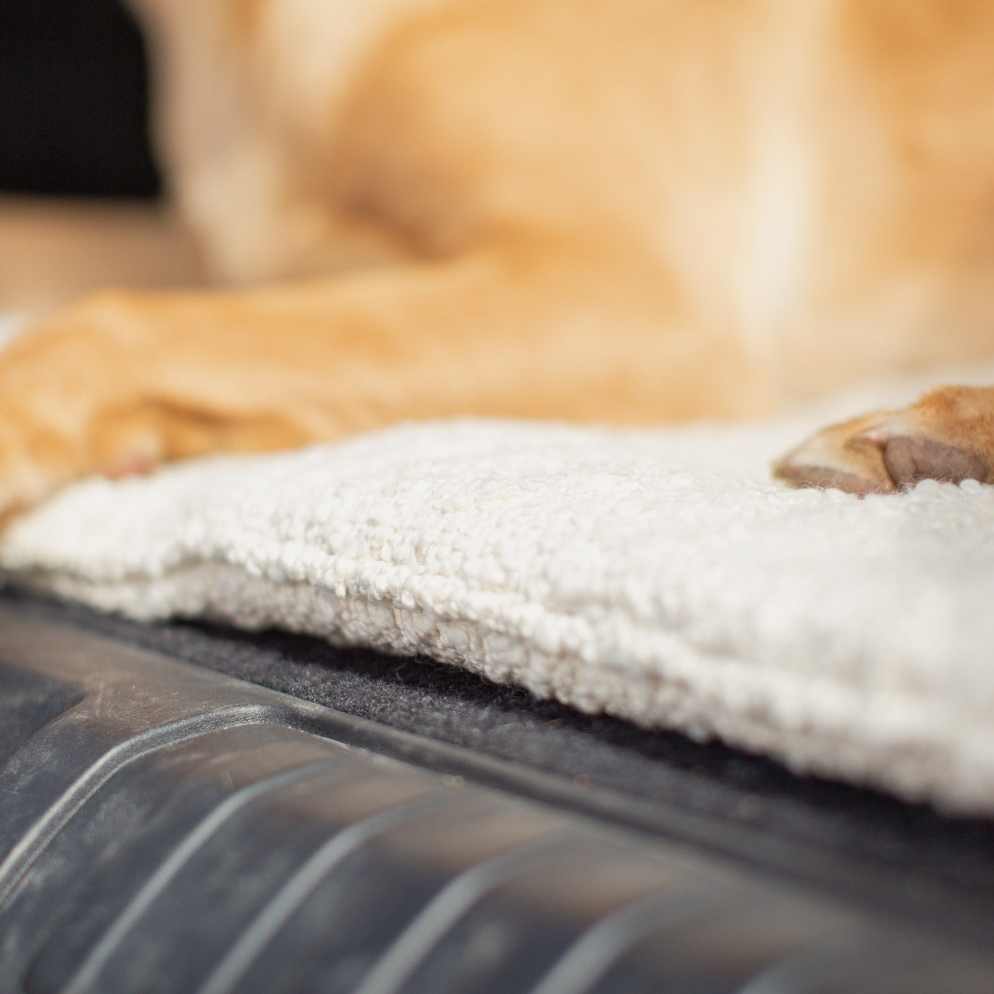 Embark on the perfect pet travel with our luxury Travel Mat in Ivory Boucle. Featuring a Carry handle for on the move once Rolled up for easy storage, can be used as a seat cover, boot mat or travel bed! Available now at Lords & Labradors US