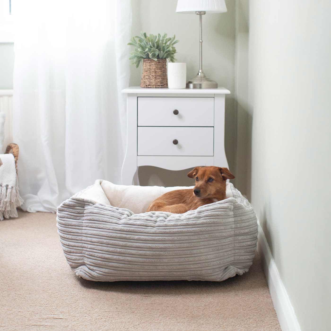 [color:light grey plush] Super Soft, Plush Fabric Essentials Box Bed For Dogs, A Luxury Dog Bed Made Using Sherpa/Fleece To Bring The Perfect Pet Bed For The Ultimate Nap Time! Available Now at Lords & Labradors US