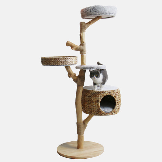 Discover our Luxury Back to Nature The Penthouse Cat Scratch Post. Features Natural Wood For The Perfect Hideaway For Kittens And Scratching! Available Now at Lords & Labradors US