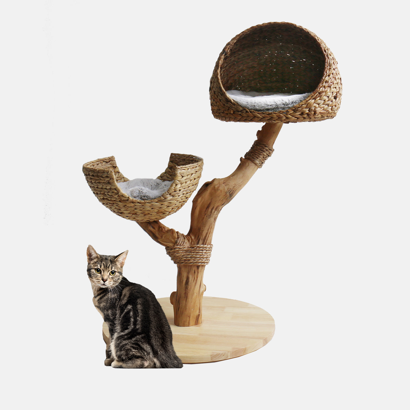 Discover our Luxury Back to Nature The Duo Scratch Post. Features Duo Bed for lounging and multiple cats, Thick Natural Wood Perfect For Scratching And Burrow! Available Now at Lords & Labradors US