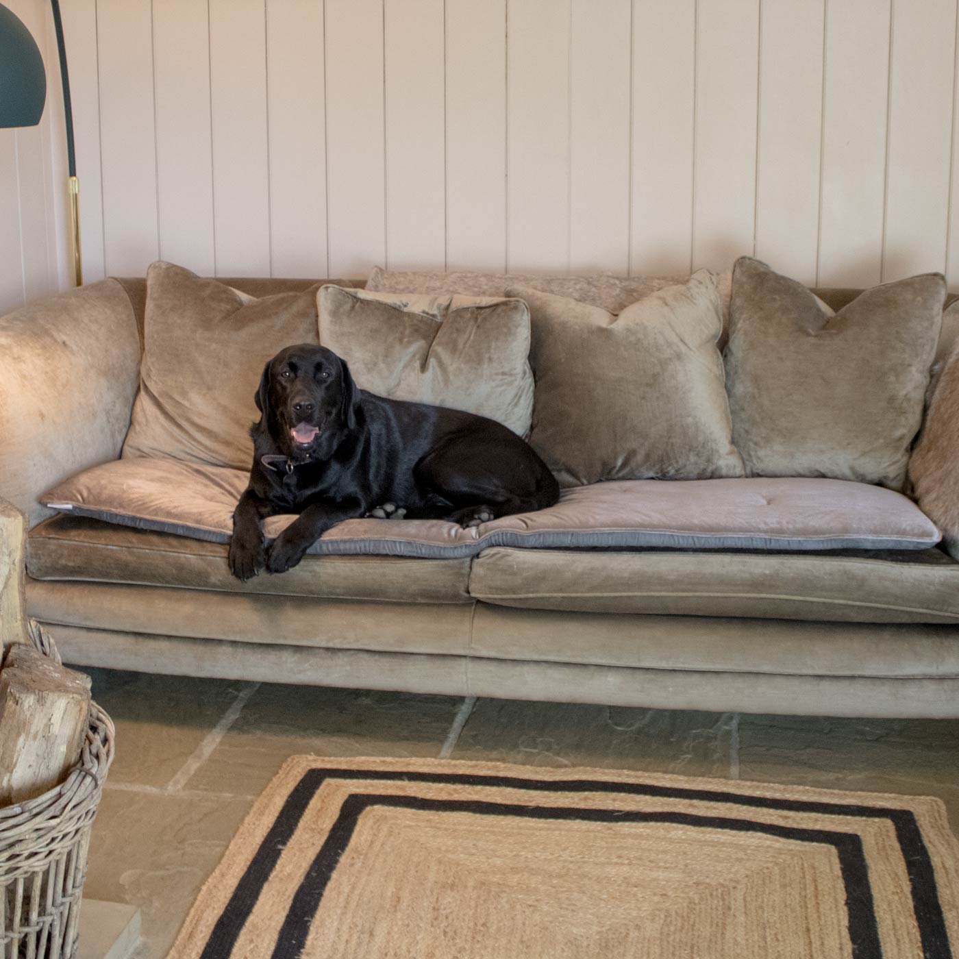 Pet Bedding & Furniture, Velvet Sofa Topper