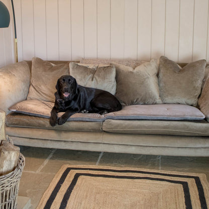 Sofa Topper in Slate Velvet – The Lounging Hound