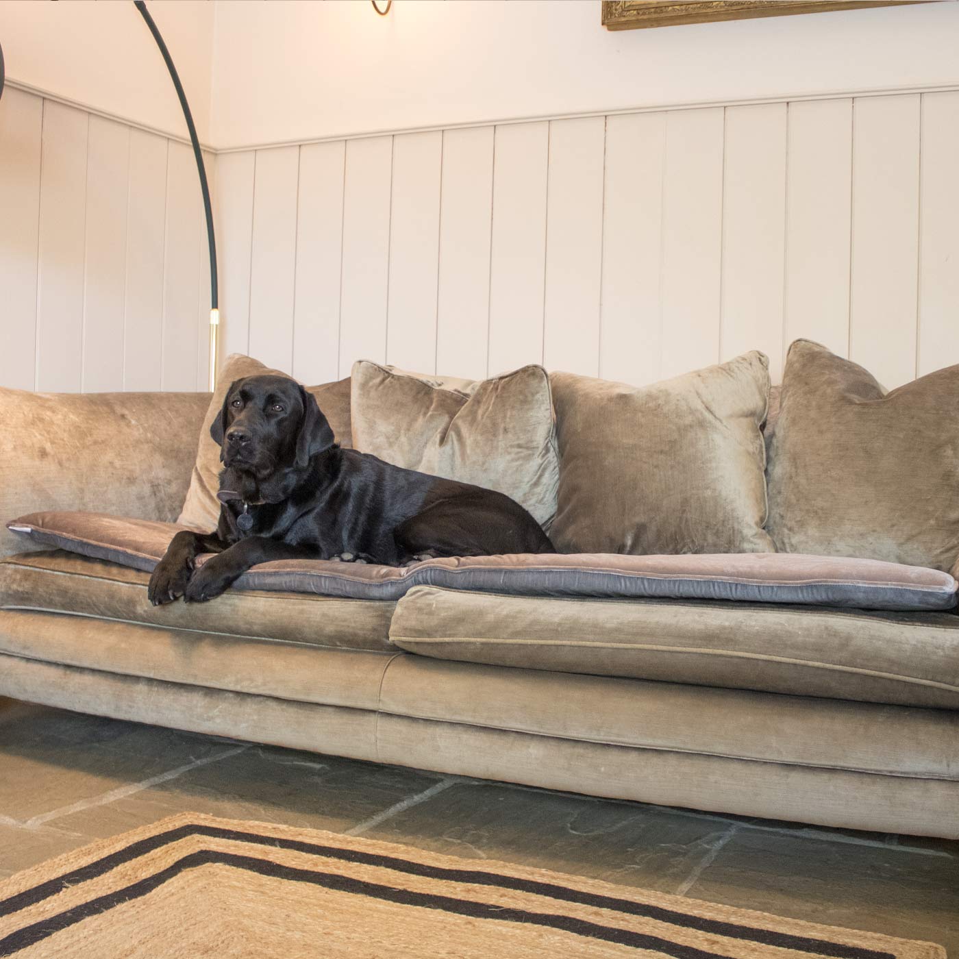 [color:mink velvet] Discover Our Luxury Velvet Couch Topper, The Perfect Pet Couch Accessory In Stunning Mink Velvet ! Available Now at Lords & Labradors US