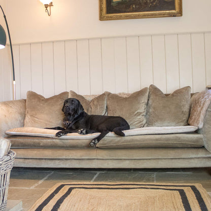 [color:mushroom velvet] Discover Our Luxury Velvet Couch Topper, The Perfect Pet Couch Accessory In Stunning Mushroom Velvet ! Available Now at Lords & Labradors US