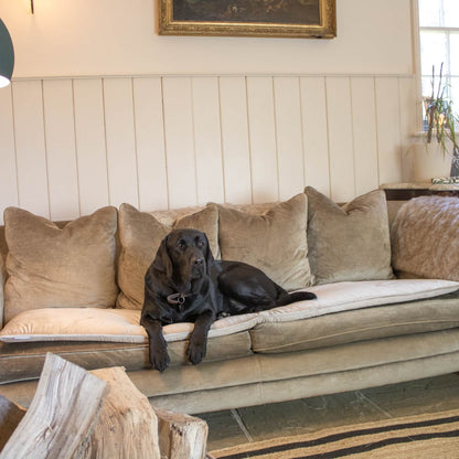 Lords & Labradors Luxury Herringbone Tweed Couch Topper