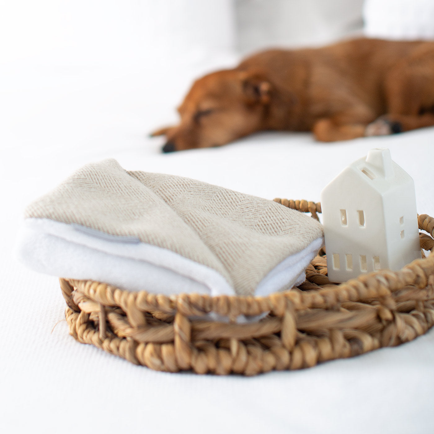[color:natural herringbone]  Luxury Herringbone Pet Scent Blanket collection, In Stunning Natural Herringbone. The Perfect Blanket For Dogs, Available at Lords & Labradors US