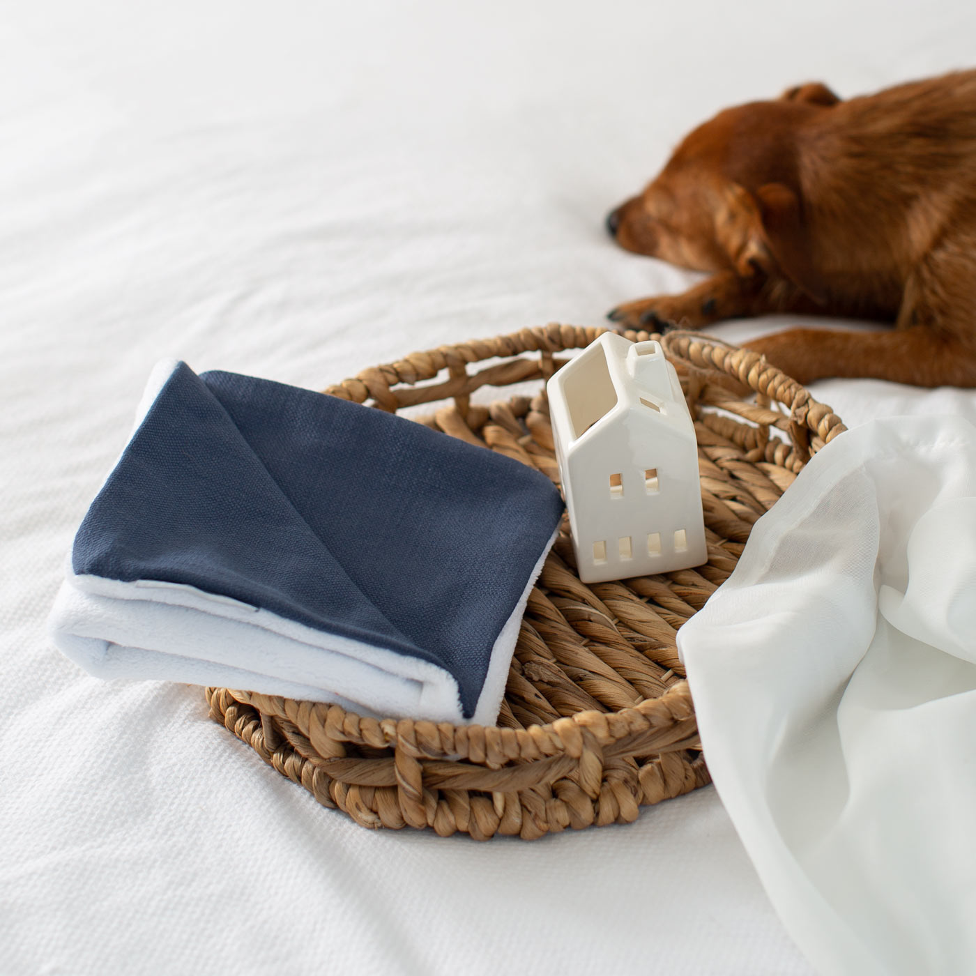 [color:savanna indigo] Luxury Savanna Pet Blanket collection, In Stunning Savanna Indigo. The Perfect Blanket For Dogs, Available at Lords & Labradors US