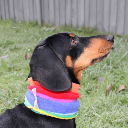 [color:rainbow] Accessorize Your Pet, With Our Stunning Snood For Dachshunds! Comes In One Size, And Totally Machine Washable, Available To Personalize Now at Lords & Labradors US