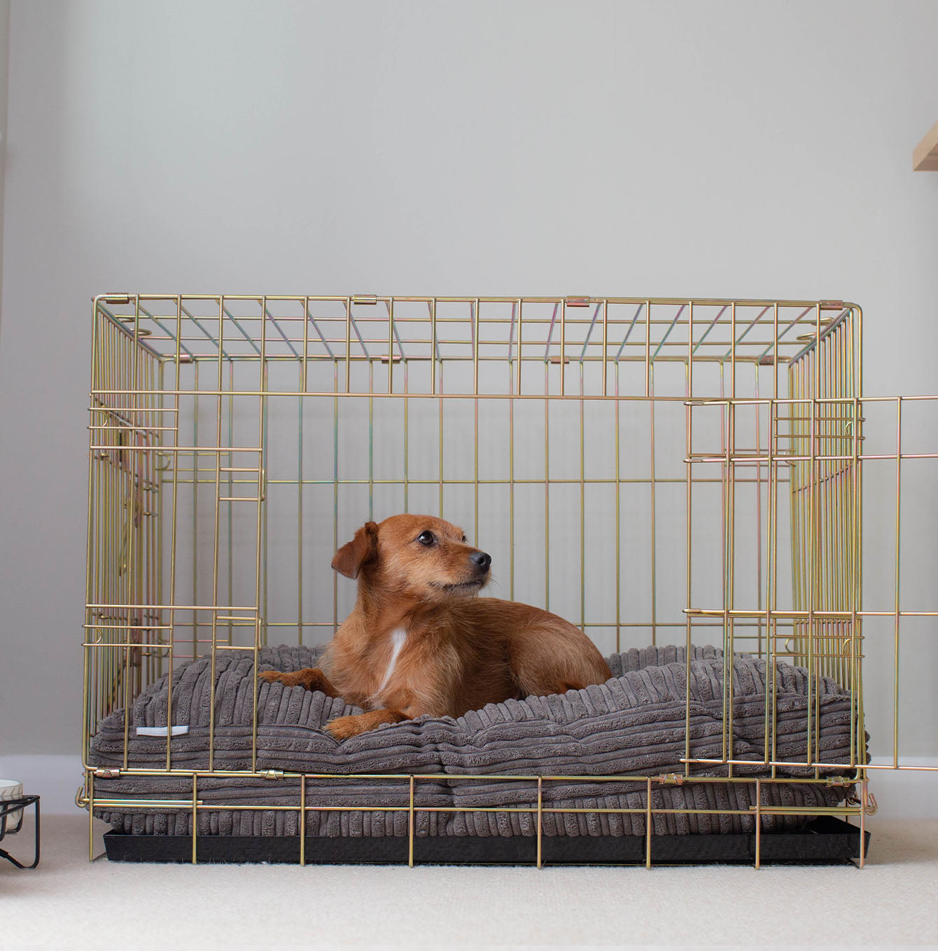 Luxury Dog Cage Cushion, Essentials Plush Cushion in Dark Grey! The Perfect Dog Cage Accessory, Available To Personalize Now at Lords & Labradors US